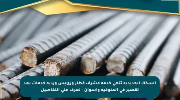 السكك الحديدية تنهي خدمة مشرف قطار ورئيس وردية خدمات بعد تقصير في المنوفية وأسوان – تعرف على التفاصيل
